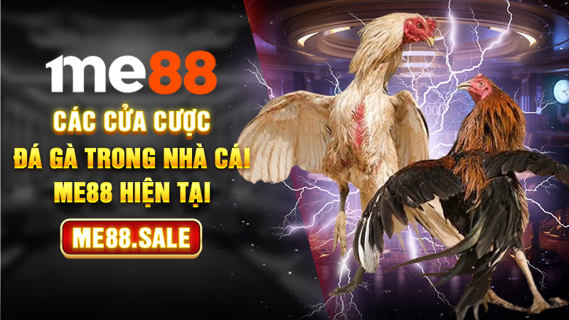 Các cửa cược đá gà trong nhà cái Me88 hiện tại