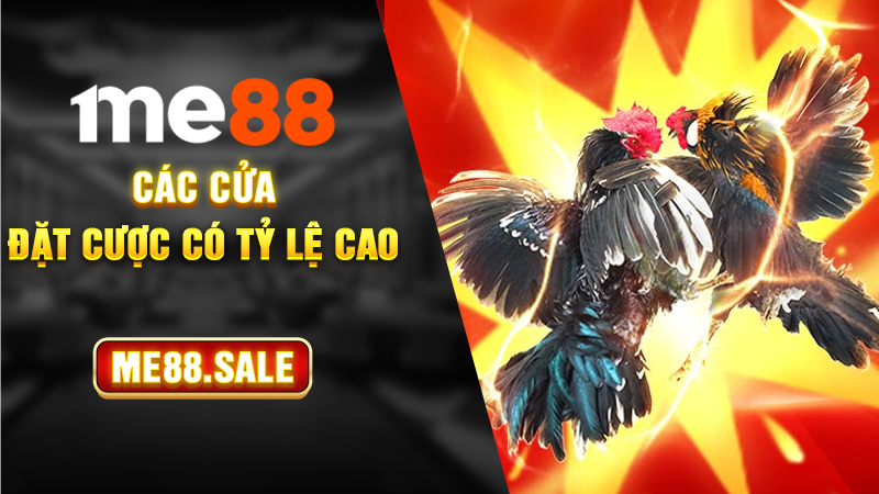 Các cửa đặt cược có tỷ lệ cao