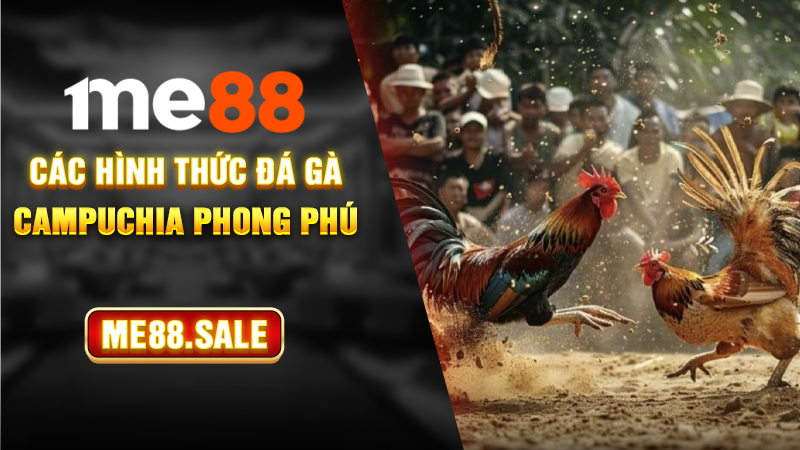 Các hình thức đá gà Campuchia phong phú