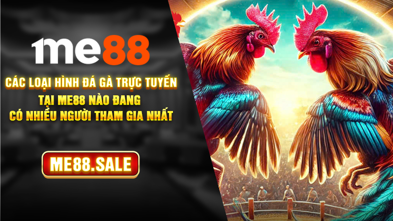 Các loại hình đá gà trực tuyến tại ME88 nào đang có nhiều người tham gia nhất