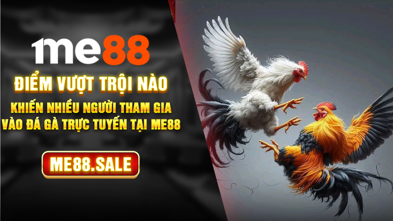 Điểm vượt trội nào khiến nhiều người tham gia vào đá gà trực tuyến tại ME88