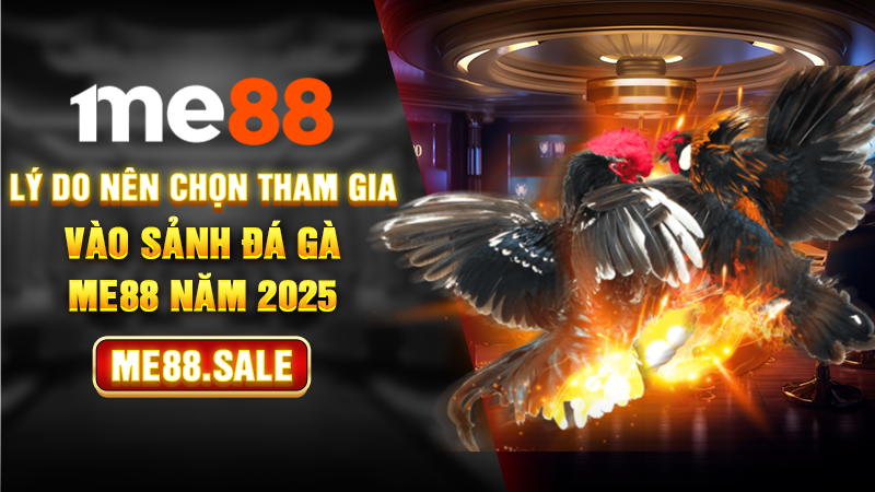 Lý do nên chọn tham gia vào sảnh đá gà Me88 năm 2025
