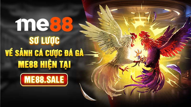 Sơ lược về sảnh cá cược đá gà Me88 hiện tại