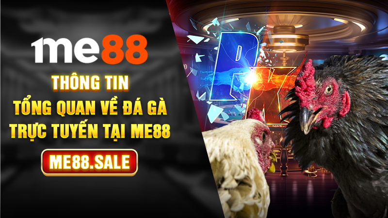 Thông tin tổng quan về đá gà trực tuyến tại ME88