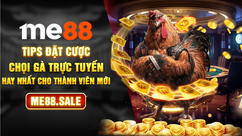 Tips đặt cược chọi gà trực tuyến hay nhất cho thành viên mới